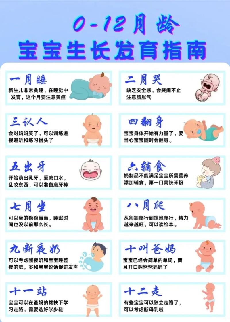四岁国内助孕宝宝学什么