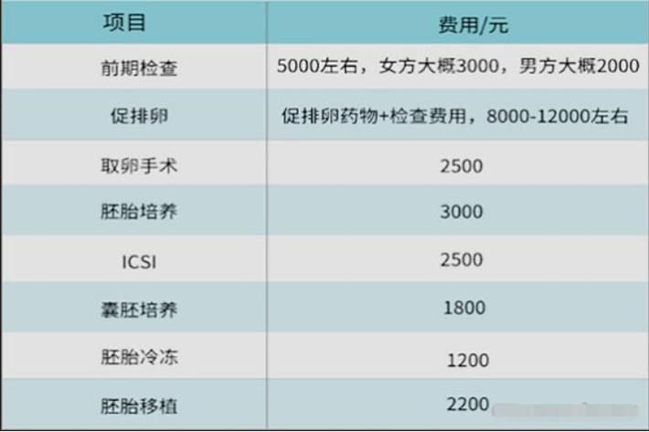 国内正规试管助孕要多少钱