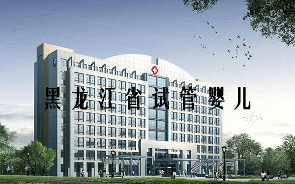 哈尔滨私立试管婴儿医院